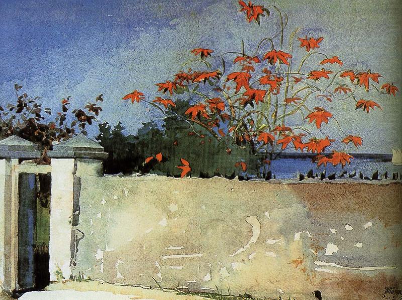 Wall, Winslow Homer